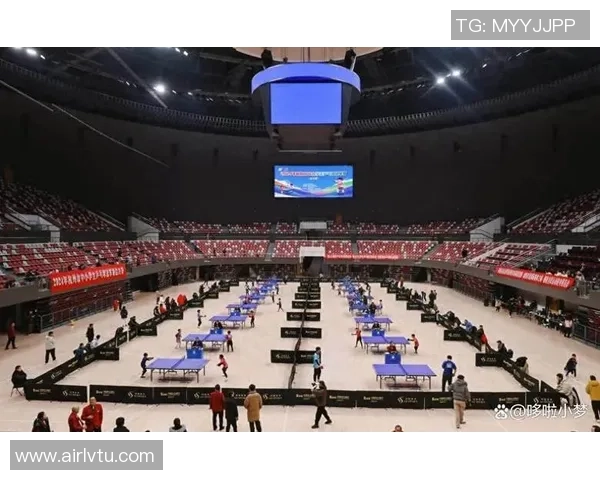 独家深度解析杭州乒乓球队灵活性与其他球队的对比优势与不足